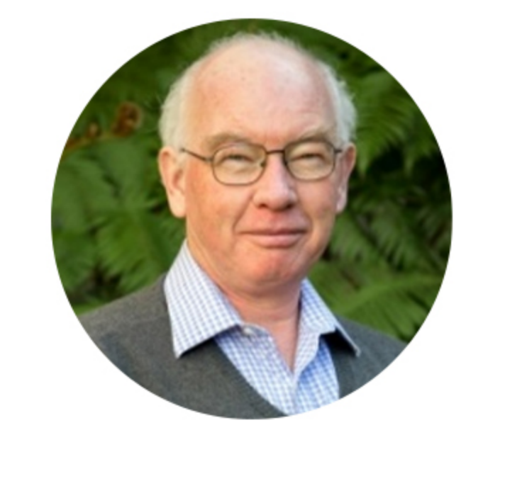 Prof. Robert McMeeking